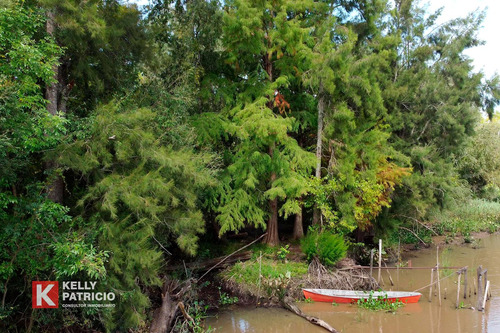 Venta De Fracción Con Costa Sobre Rio Paranacito