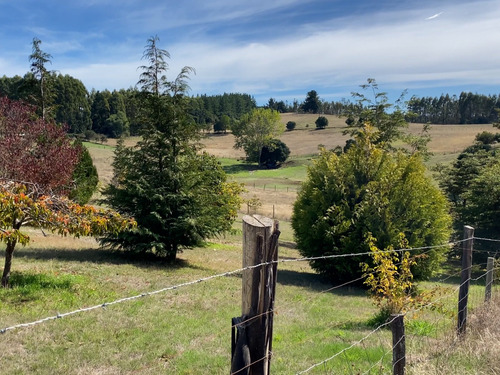 Venta De Campo Con Moderna Casa En La Unión