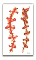 Comprar Tatuaje Temporal Halloween Cosplay Disfraz - Herida - 3f