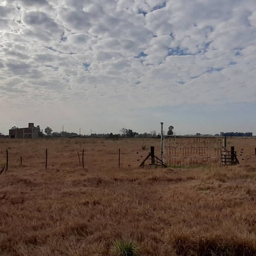 Imagen 3 de 9 de Lote En Venta En San Vicente