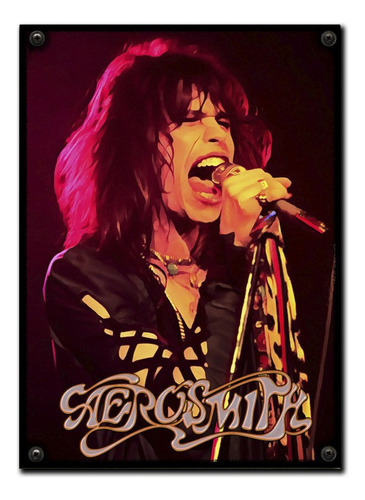 #397 - Cuadro Vintage 21 X 29 Cm / Aerosmith Rock No Chapa