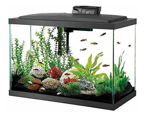 Kit Inicio Acuario Con Luz Led 20 Gal.