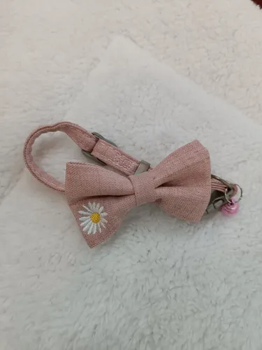 Collar Y Correa Para Perros
