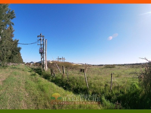 Chacra 10 Has En Venta - Monoambiente En Sauce