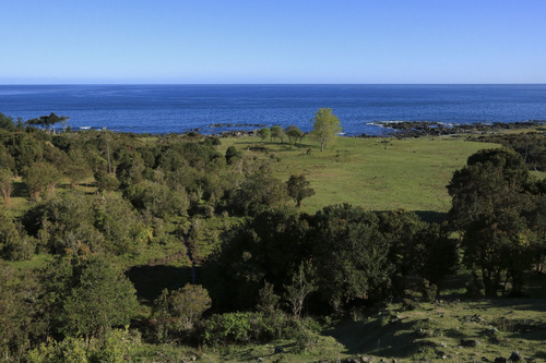 Se Venden Parcelas En La Costa Valdiviana