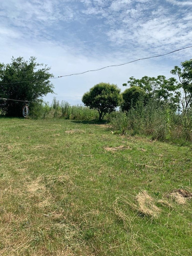 Vendo Muy Linda Chacra Con 3 Casas, 2 Galpones Y Un Parque Arbolado Único!!!!!!!!!!