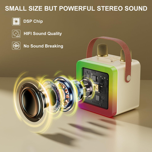 Máquina De Karaoke Jauyxian Portátil Bluetooth Con 2 Micrófo
