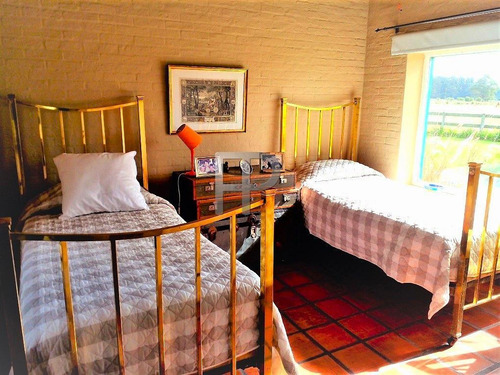 Imagen 12 de 13 de Chacra En Venta Punta Ballena 3 Dorm, 10 Has #1824