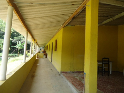 Imagem 2 de 14 de Lindo Sitio Com Lagos E Nascentes Ref 1227