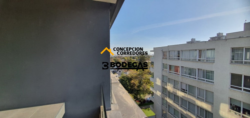 Departamento Duplex 2d+3b Providencia - Metro Fco Bilbao