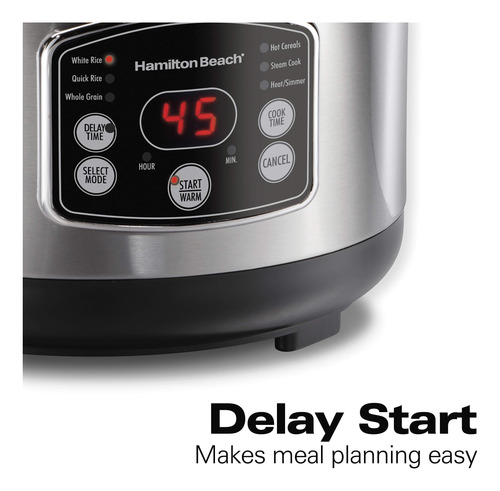 Rice Cooker & Food Steamer Hamilton Beach 14 Cups Stainless