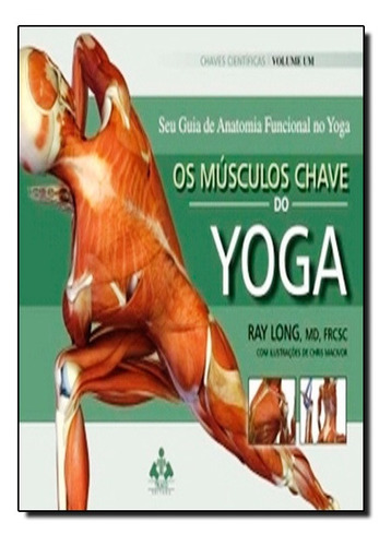 Músculos Chaves Do Yoga, Os: Seu Guia De Anatomia Funcional