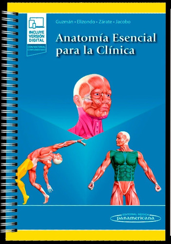 Anatomía Esencial Para La Clínica - Guzmán López  - *