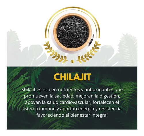 Pastillas Para La Prostatitis Y Salud Masculina Shilajit 60c