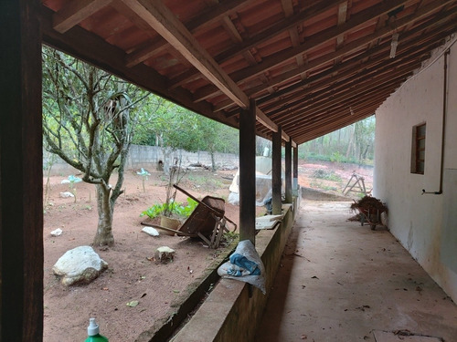 Imagem 10 de 29 de Oportunidade Chacara Biuna 2.000 M Casa,pomar,horta E Murada