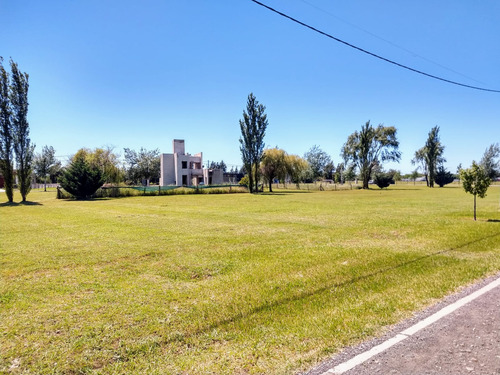 Terreno - Pinares Del Sur - Piñero - Barrio Cerrado