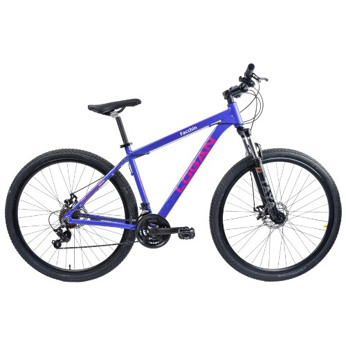 Bicicleta Mountain Bike Logan Rod 29 Aluminio Mtb Disco