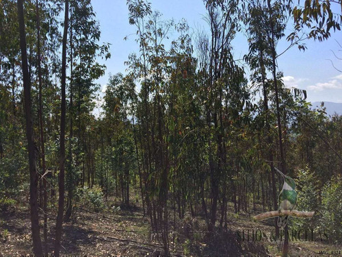 F-190 Valle Alegre, Quintero, 20.000m2