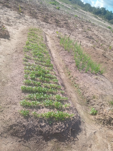 Área De Terra Com 12 Tarefas