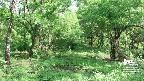 Imagen 8 de 11 de Vendo Finca En Remate En Masaya