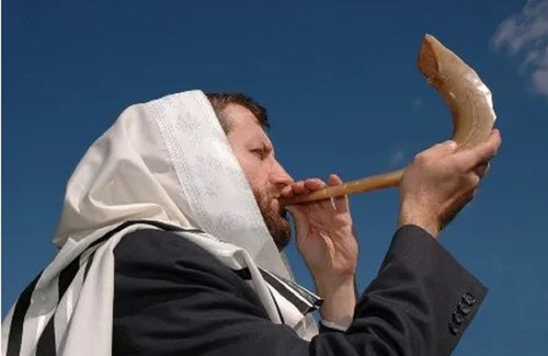 Shofar +base---carnero- Judio -43.8cm- Kosher (#251)