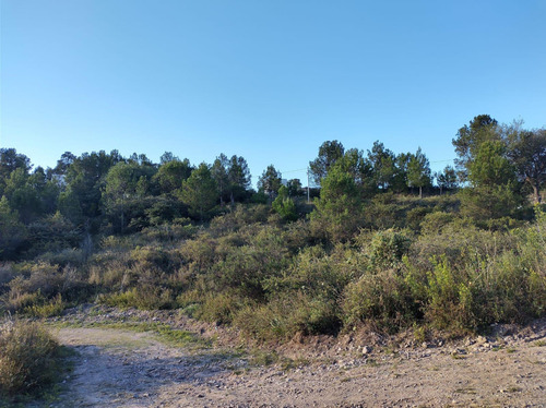 Oportunidad De Terrenos En Venta En Las Sierras De Cordoba