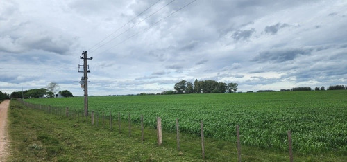 Imagen 28 de 30 de Excelente Campo Con Muy Buenas Mejoras .