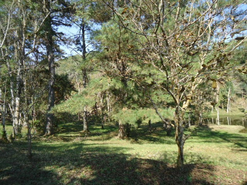 Imagem 11 de 14 de Excelente Sitio Com Lago Ref 1290