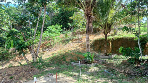Sítio Com 2 Casas Am 010 Km 116