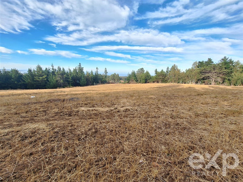 Terreno 3 Has. Construccion En Venta En Pichilemu