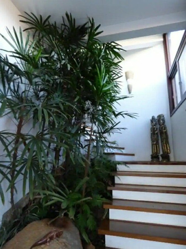 Imagem 7 de 15 de Casa Alto Padrão Para Venda Em Ferraz Garopaba-sc - Kv714