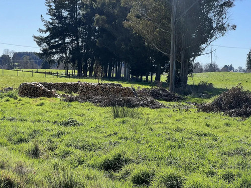 Parcela A Solo 5 Minutos De Osorno