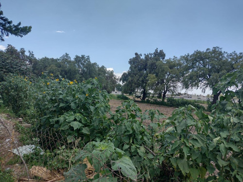 Terreno Las Animas Ozumbilla