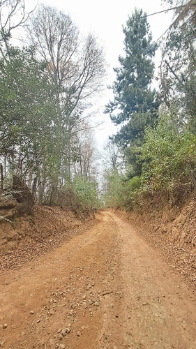 Vive En La Naturaleza Parcela De 10000mt2 En La Placeta