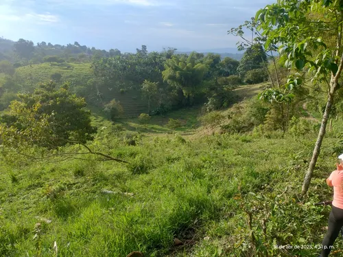 Hermoso Lote En Filandia Quindio Con Escritura