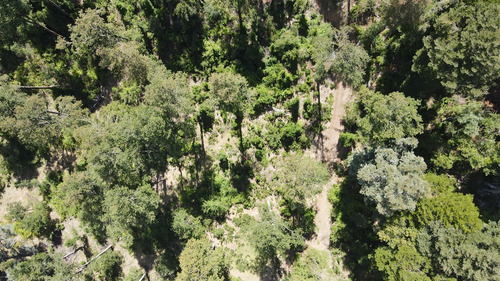 Parcela En Venta De 1 Hectarea Con Dos Casas Nuevas