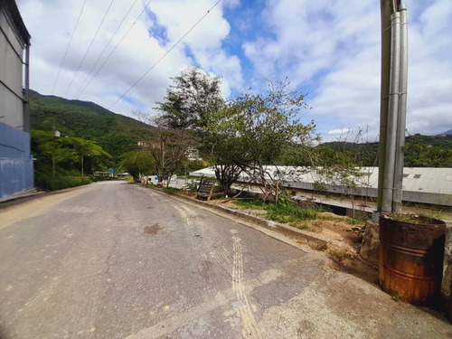Imagen 12 de 30 de Terreno En Mampote Mls: 23-6747 (linda Sahhar)