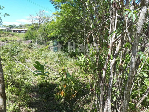 Imagem 19 de 26 de Chácara À Venda Em Canelinha/sc - 1026c
