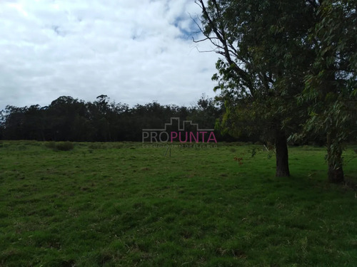 Oportunidad En Polo Club Country De Ruta 10 Kilómetro 172