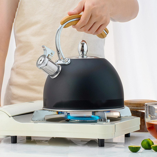 Tetera De Acero Inoxidable Estufa Con Mango De 2 Piezas