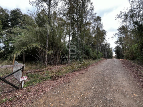 Parcela En Fresia Con Acceso Al Rio Llico