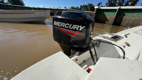 Lancha Open Geuna 170 2015 Mercury 75 Hp 2 T