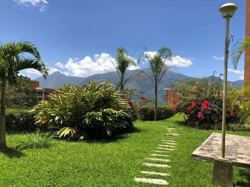 Imagen 7 de 14 de Apartamento En Venta Miravila 22-21524 Renta House Los Samanes