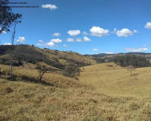 Imagem 28 de 30 de Fazenda - Fa00043 - 70710454