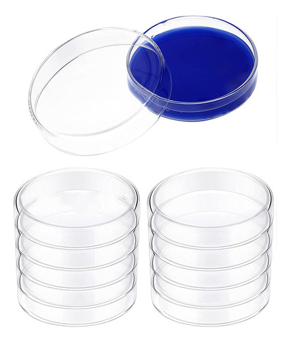 Set Of Glass Dishes Borosil Laboratory Plates 2024