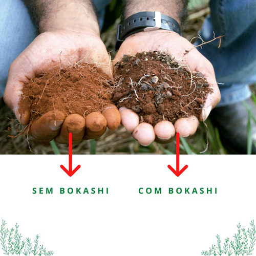 Adubo Npk Frutíferas Força Total Com Bokashi Frutas/raiz