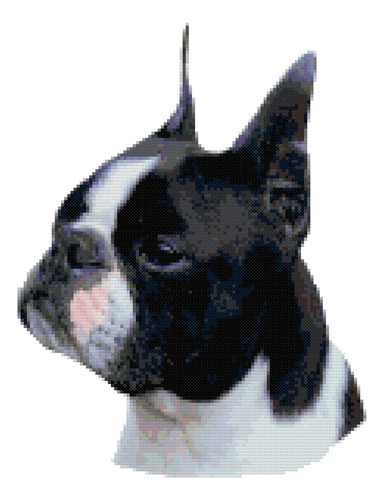 Patron Punto Cruz Diseño Retrato Perro Boston Terrier Negro