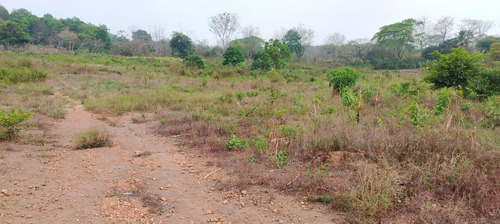 Terreno En Renta De Terreno A Pie De Carretera En Sebastopol Tuxtepec Oaxaca