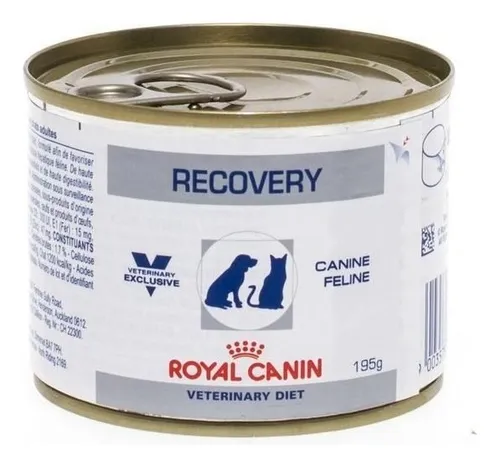 Canin recovery top