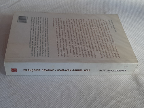 Historia Y Trauma Locura De Las Guerras Davoine Gaudilliere